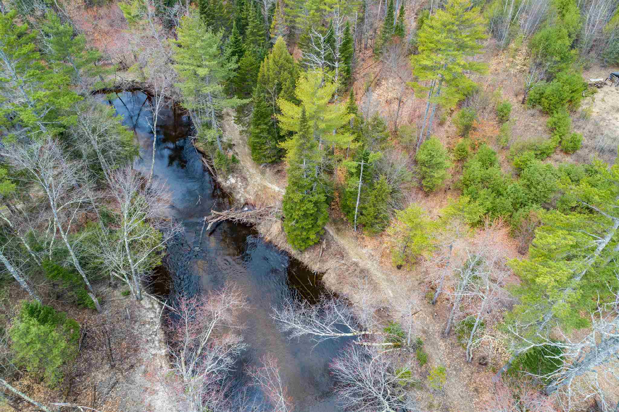 Lot 54 School Pond Road, Unit 54 Danbury, NH 03230 - Photo 7 of 16 Gallery Image 7