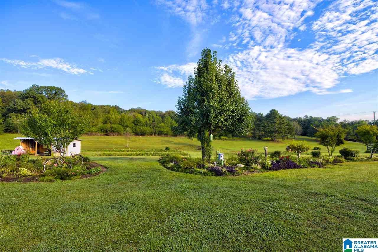 3900 Bud Umphrey Road Altoona, AL 35952 - Photo 11 of 47
