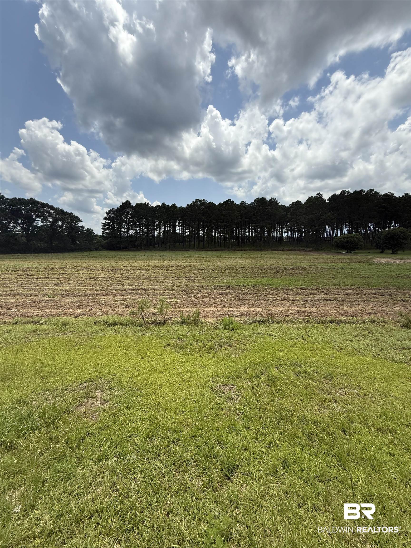 227 County Road 14 Range, AL 36473 - Photo 11 of 41