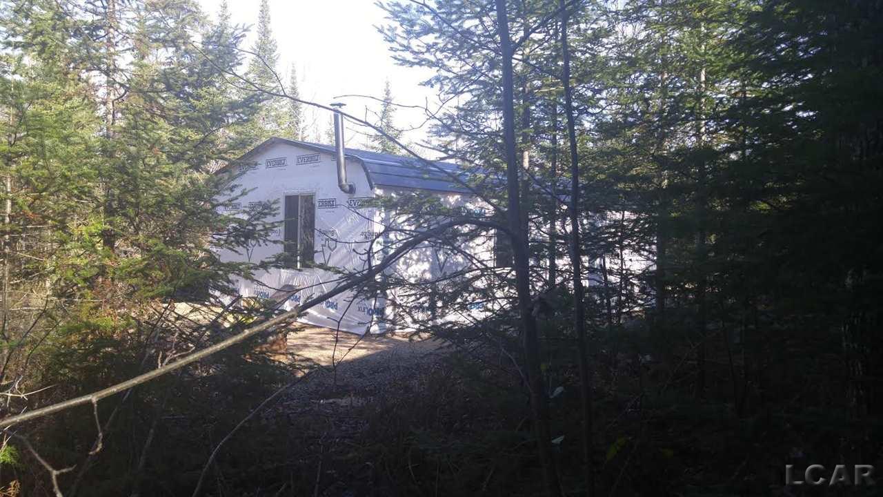 0 Worth Road Moran, MI 49760 - Photo 5 of 18 Gallery Image 5
