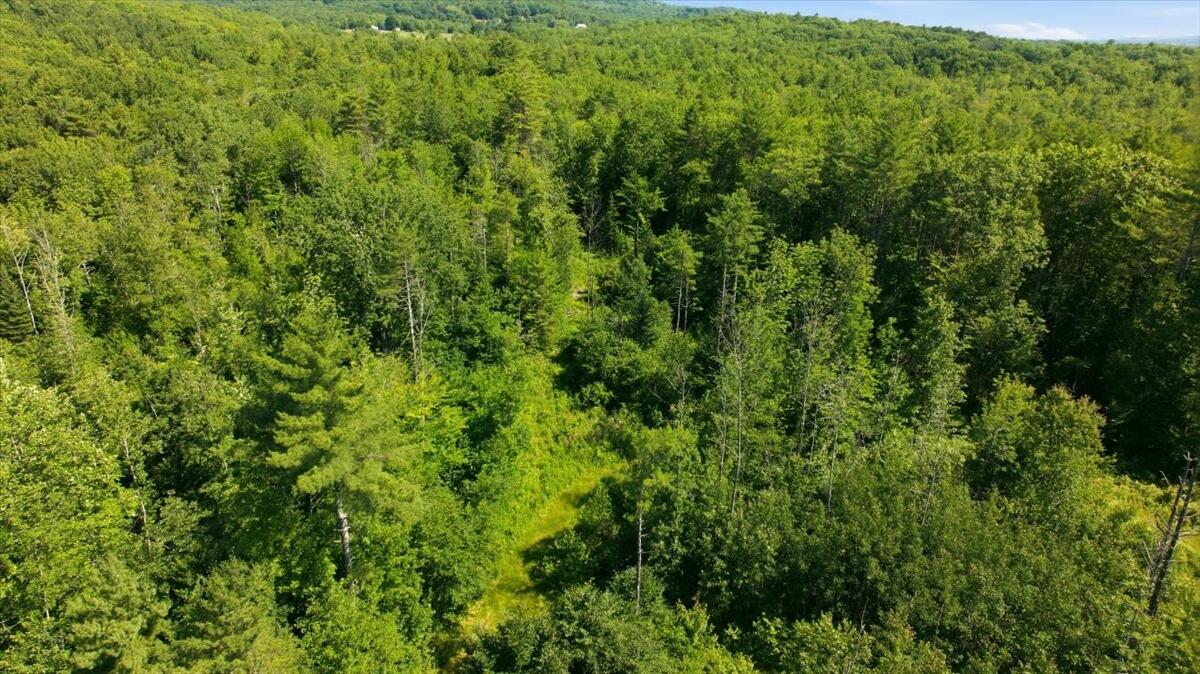 92 No Name Pond Road Lewiston, ME 04240 - Photo 26 of 64 12-DJI_20260628082810_0261_D