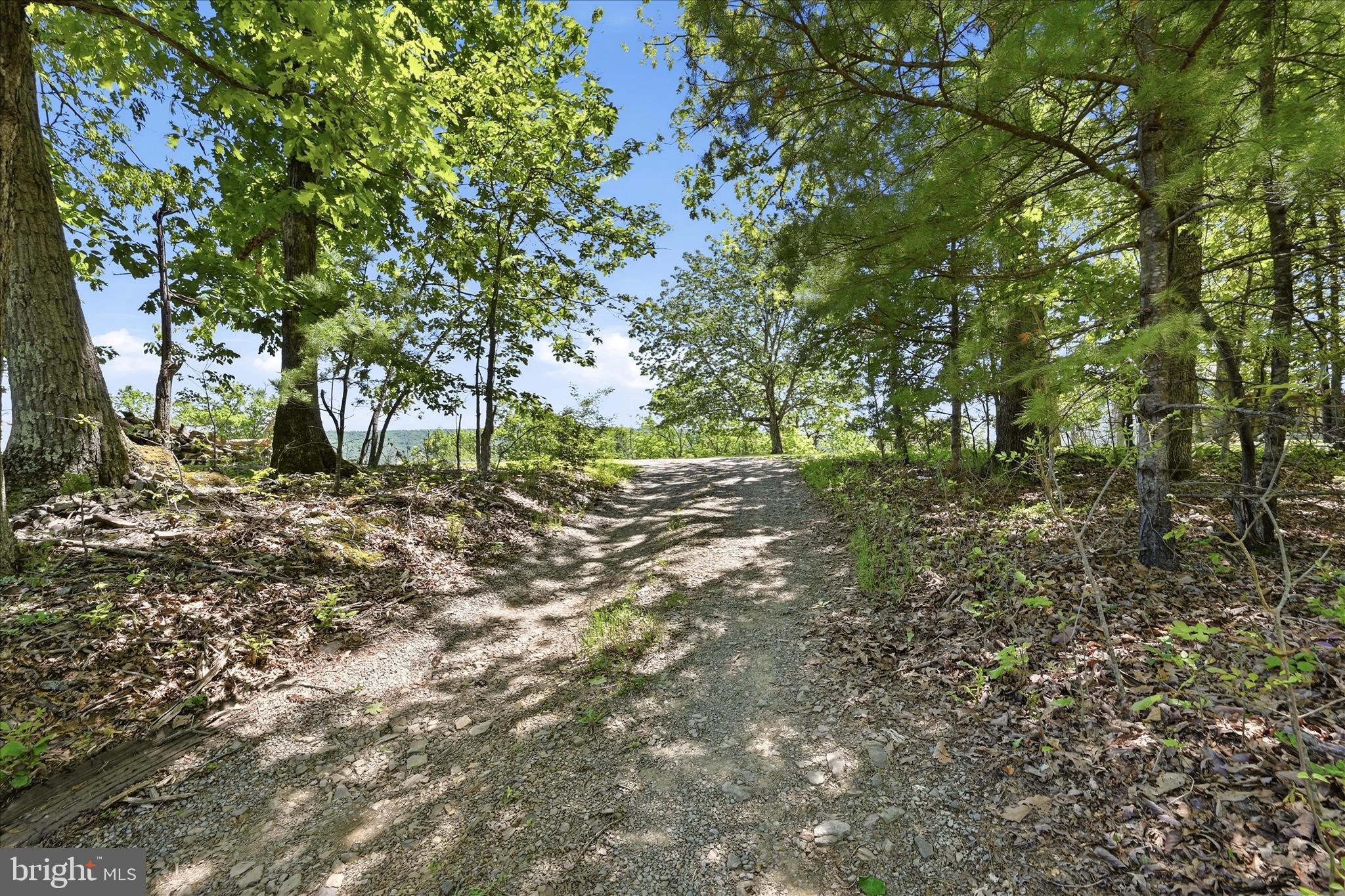 1909 Spohrs Road Berkeley Springs, WV 25411 - Photo 64 of 87 Driveway