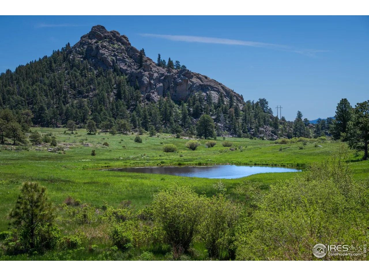 Mountain Pony Road Livermore, CO 80536 - Photo 4 of 11 a view of a grassy area with an trees