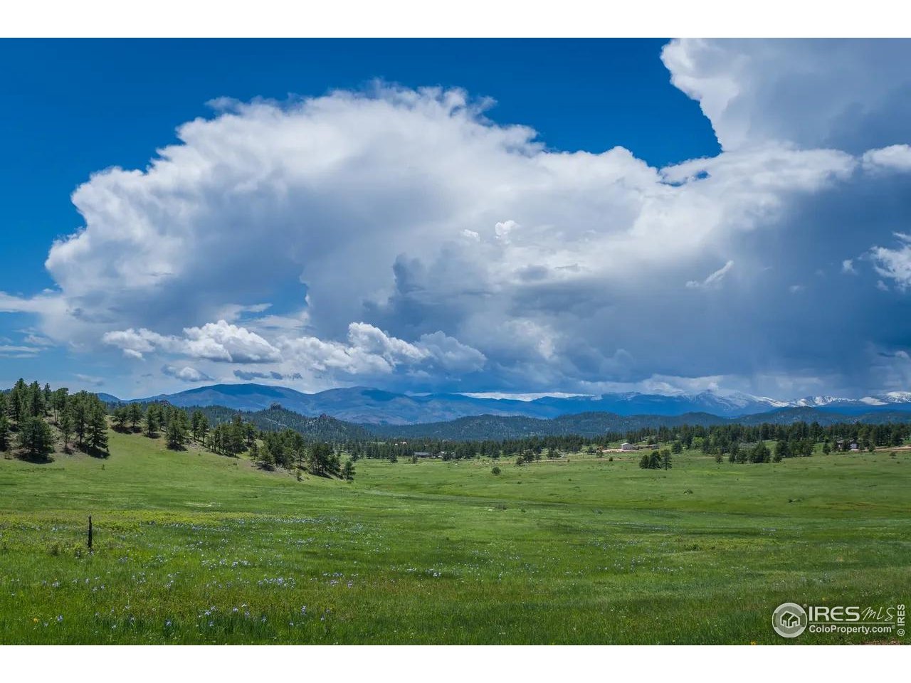 Mountain Pony Road Livermore, CO 80536 - Photo 5 of 11 a view of a city