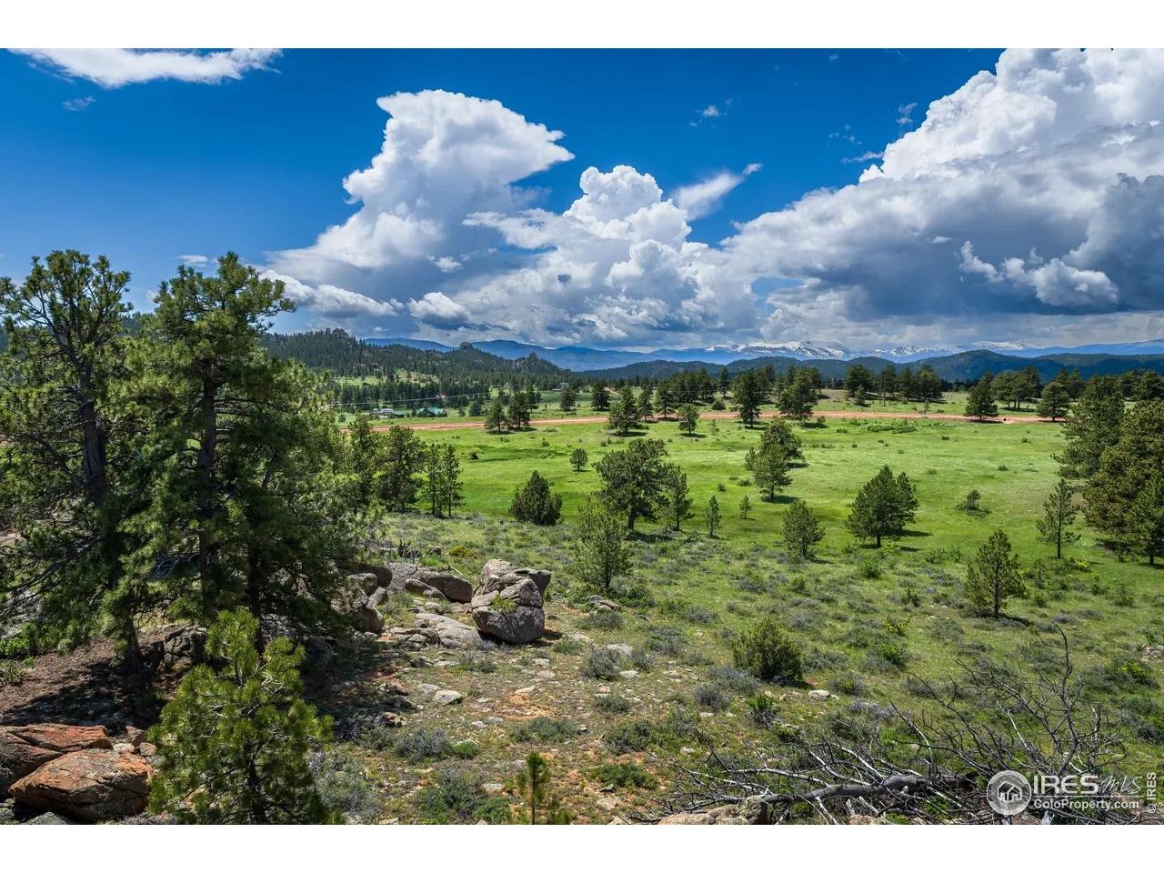 Mountain Pony Road Livermore, CO 80536 - Photo 7 of 11 a view of a yard