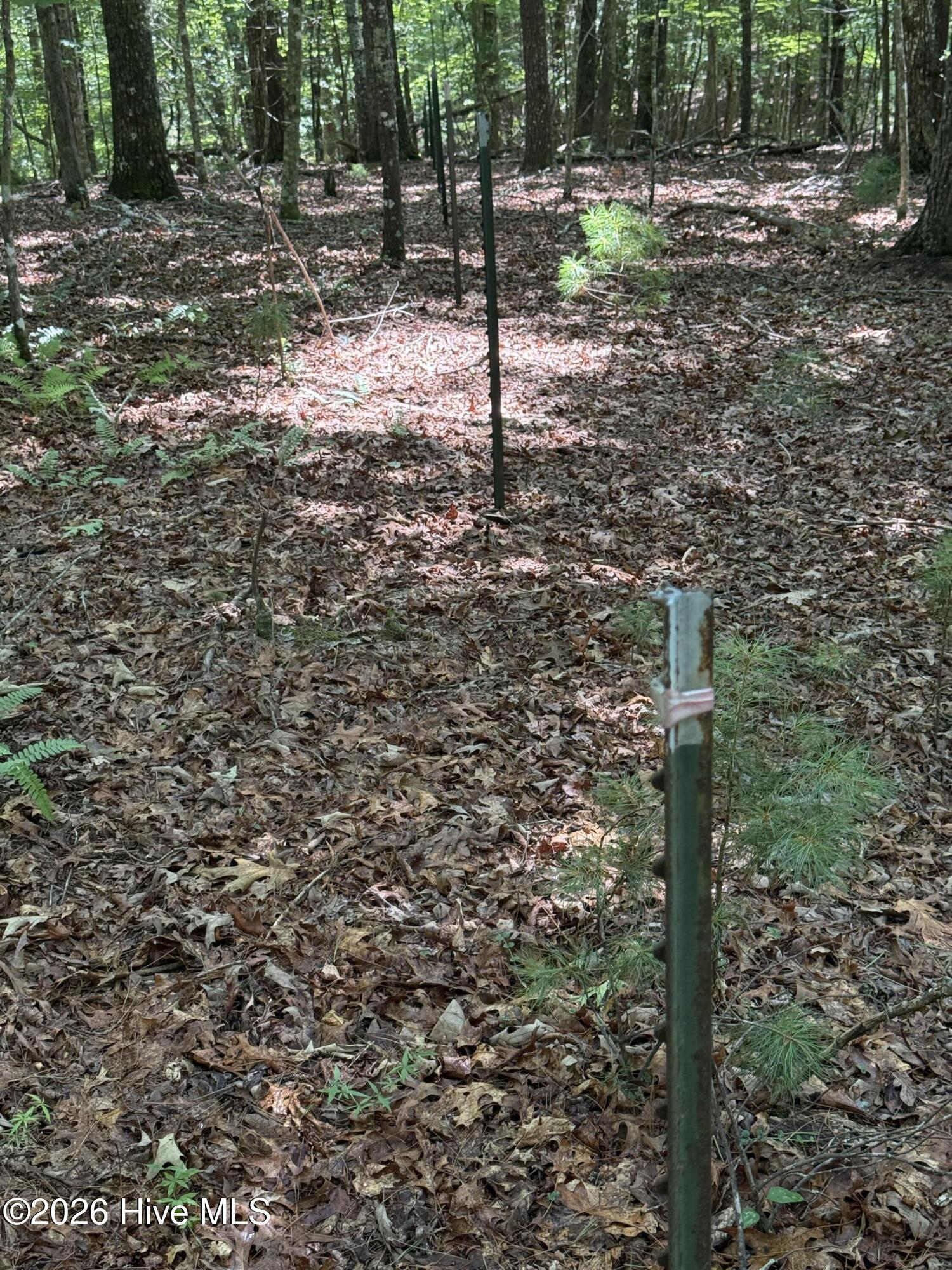 1 Friendship Church Road Murphy, NC 28906 - Photo 5 of 8