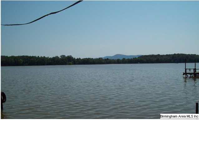 35 County Road 714 Cedar Bluff, AL 35959 - Photo 6 of 6