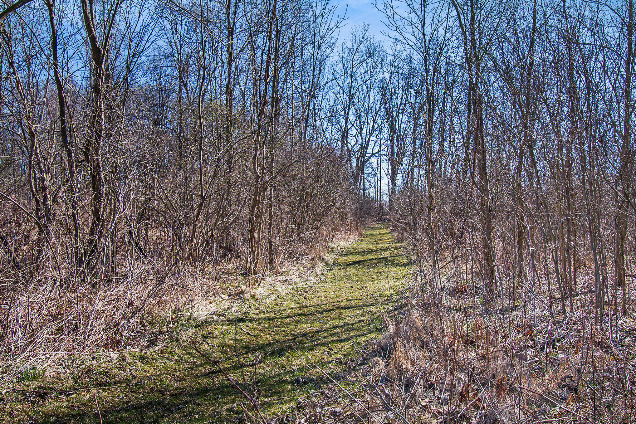 18860 Bush Road Chelsea, MI 48118 - Photo 42 of 56 044_ndp8421