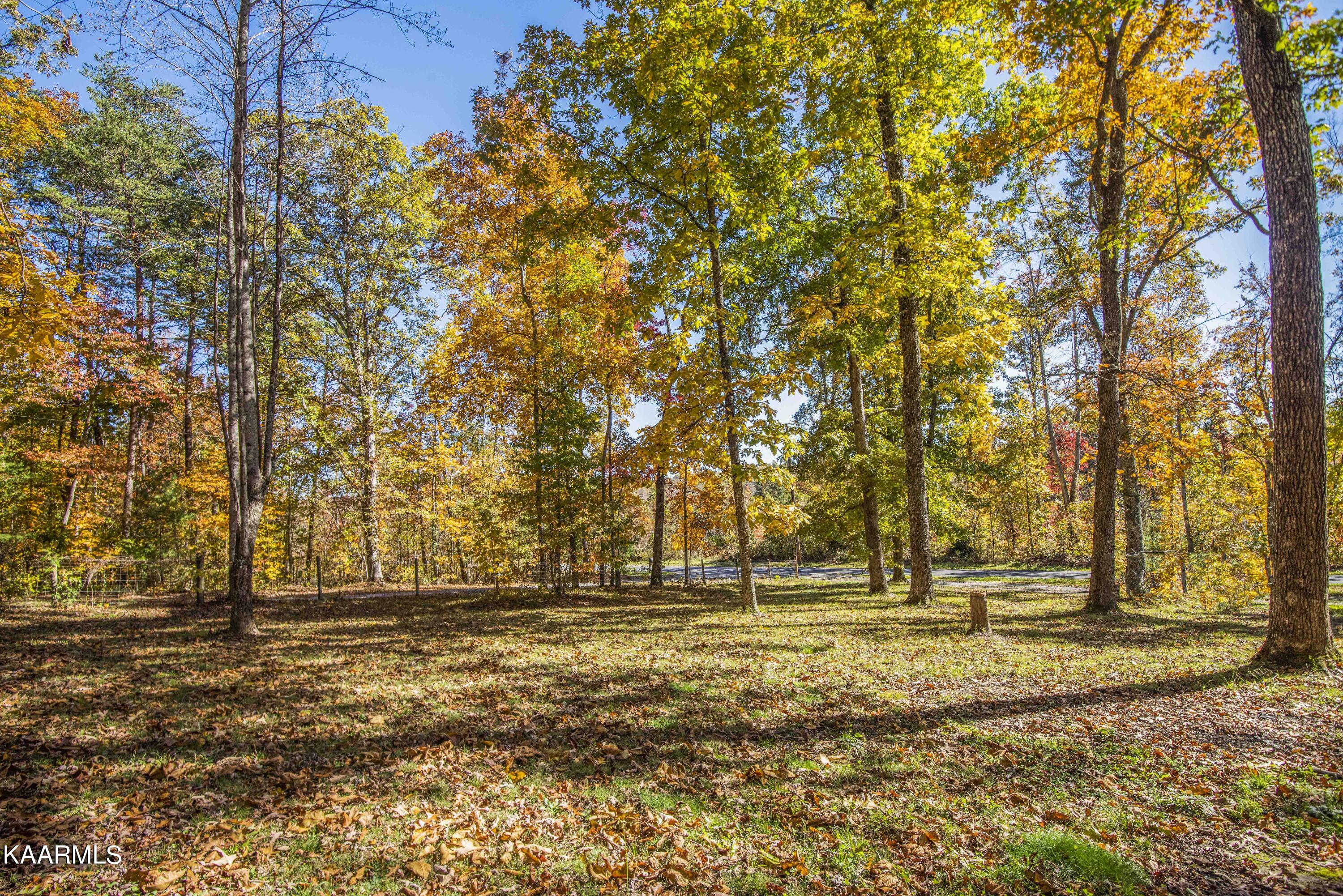 580 Rice Road Dayton, TN 37321 - Photo 35 of 45 yard 2_1