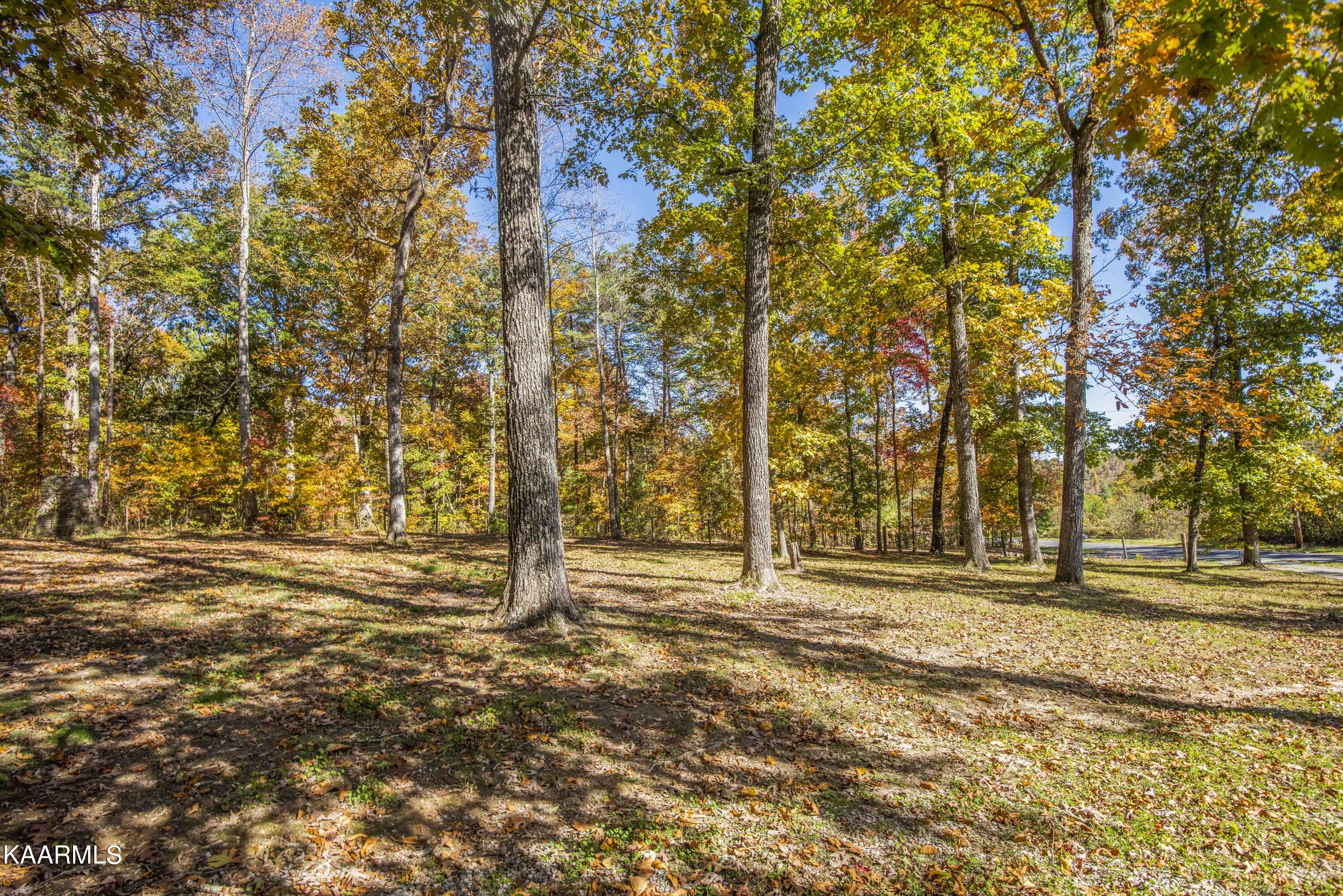 580 Rice Road Dayton, TN 37321 - Photo 36 of 45 yard 1_1