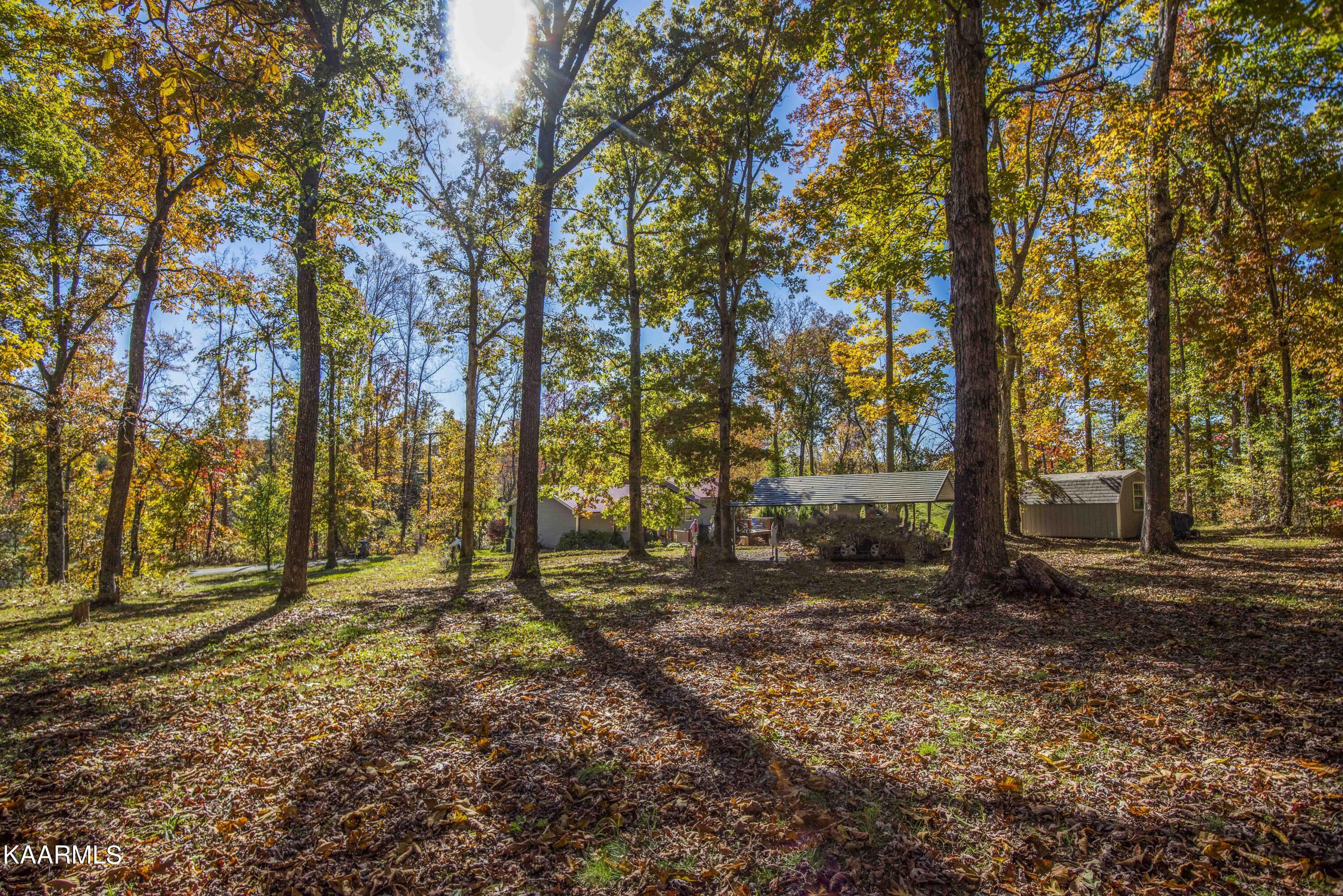 580 Rice Road Dayton, TN 37321 - Photo 37 of 45 yard 4_1