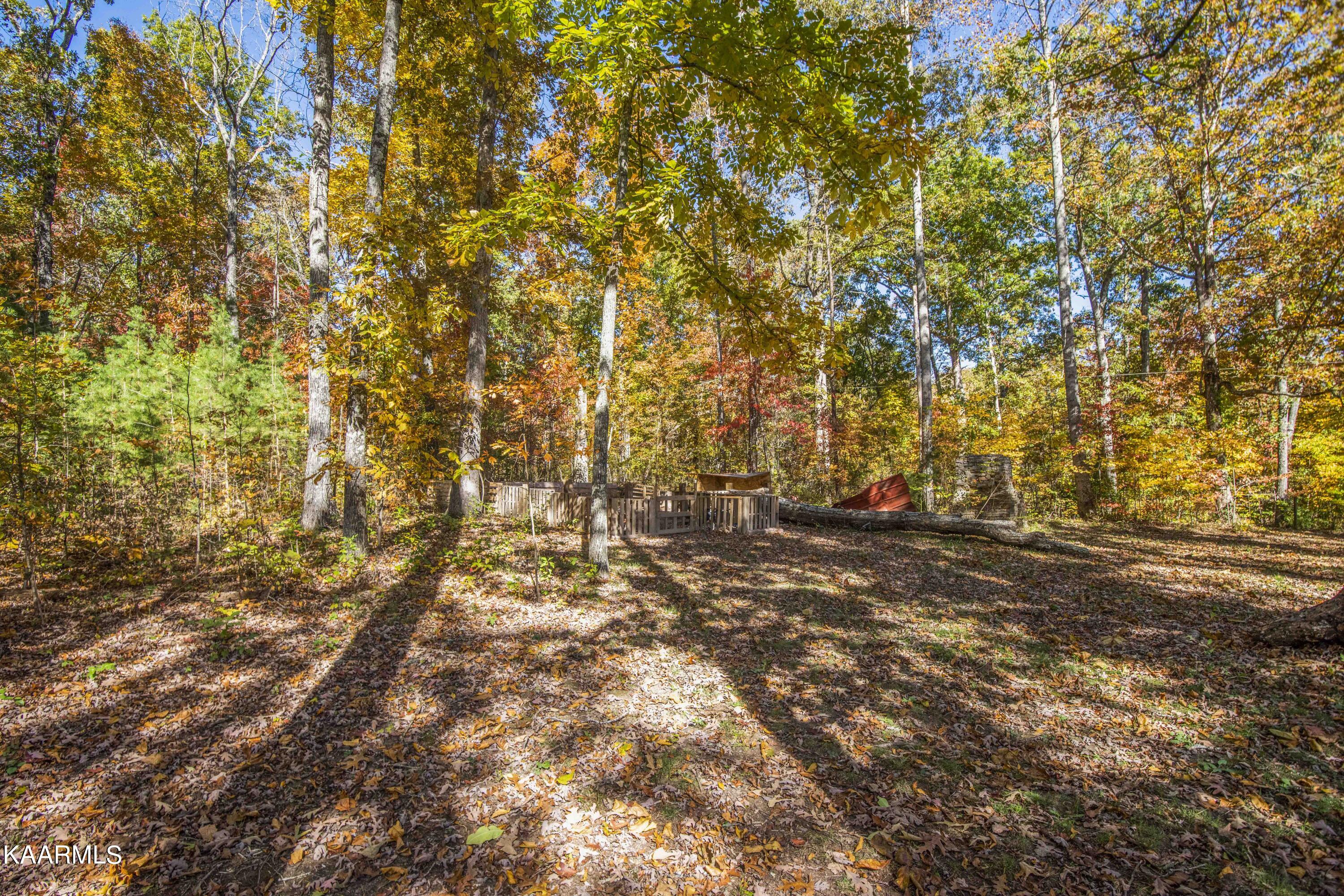 580 Rice Road Dayton, TN 37321 - Photo 39 of 45 yard 6_1