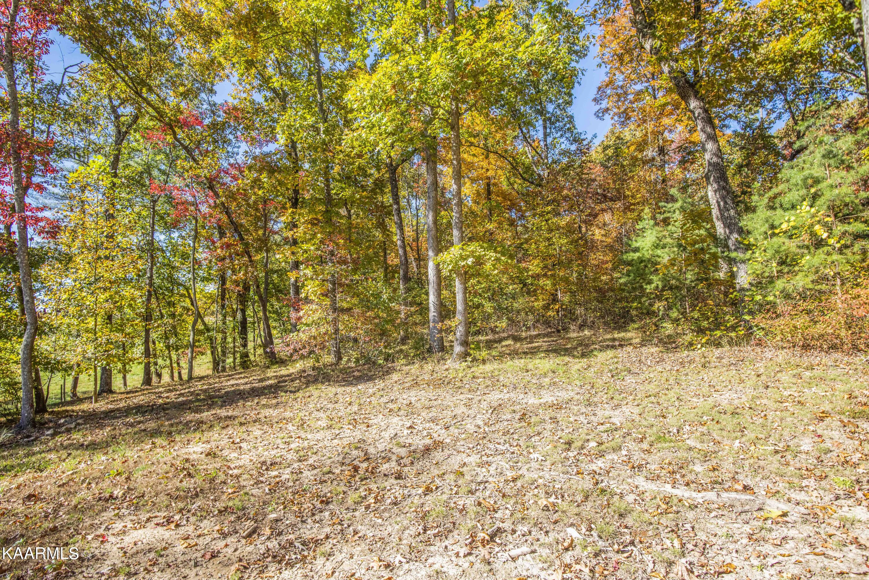 580 Rice Road Dayton, TN 37321 - Photo 42 of 45 yard 9_1