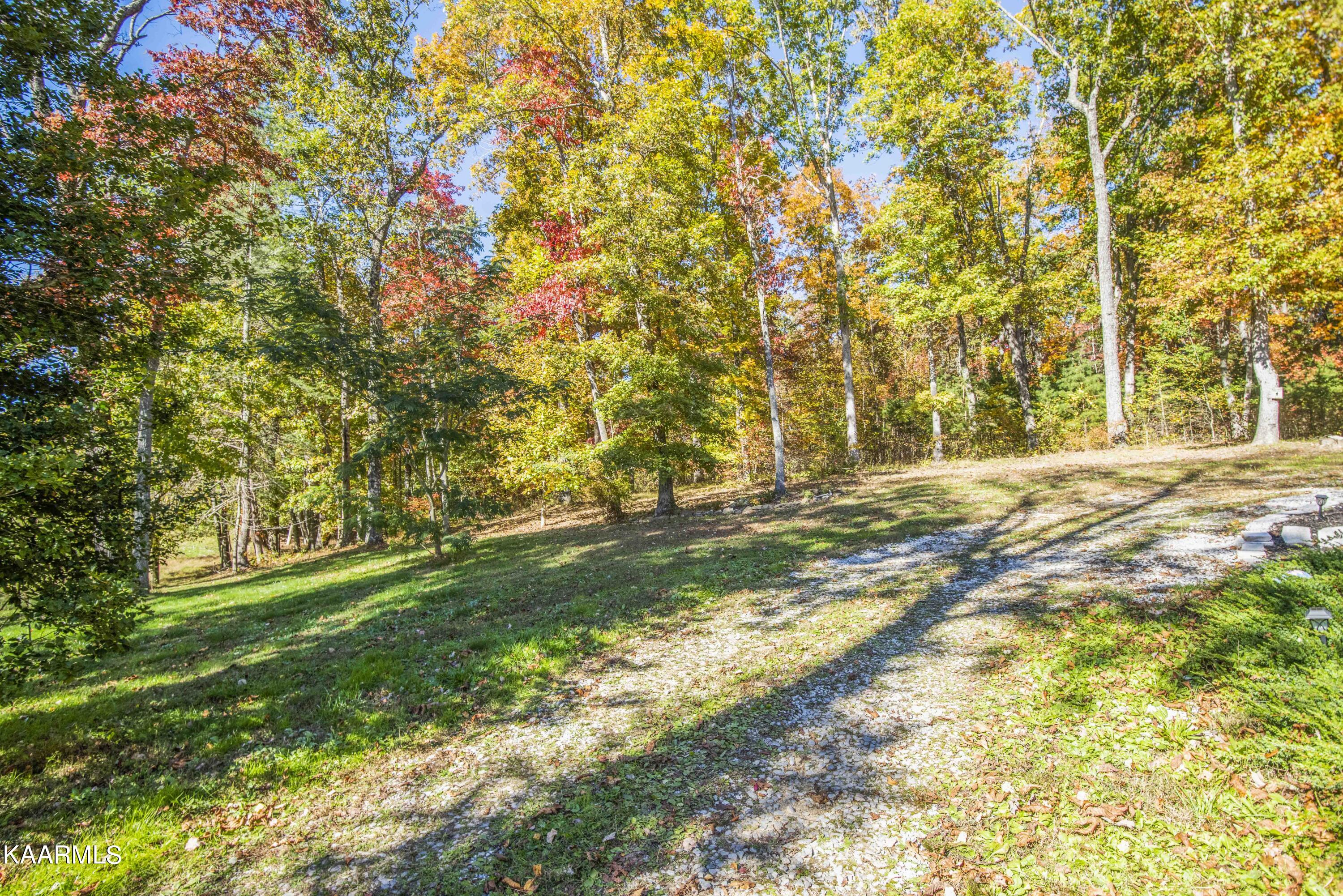 580 Rice Road Dayton, TN 37321 - Photo 44 of 45 yard 12_1