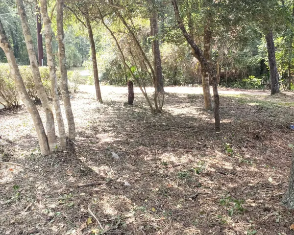 a backyard of a house with lots of green space