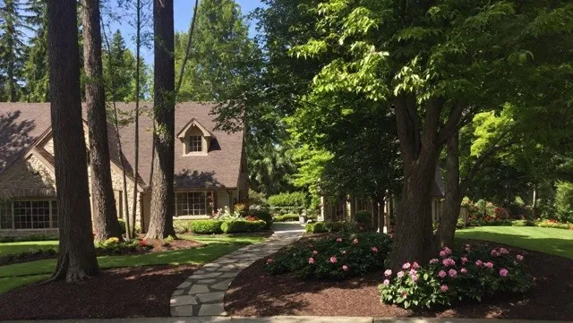 a view of a yard with swimming pool