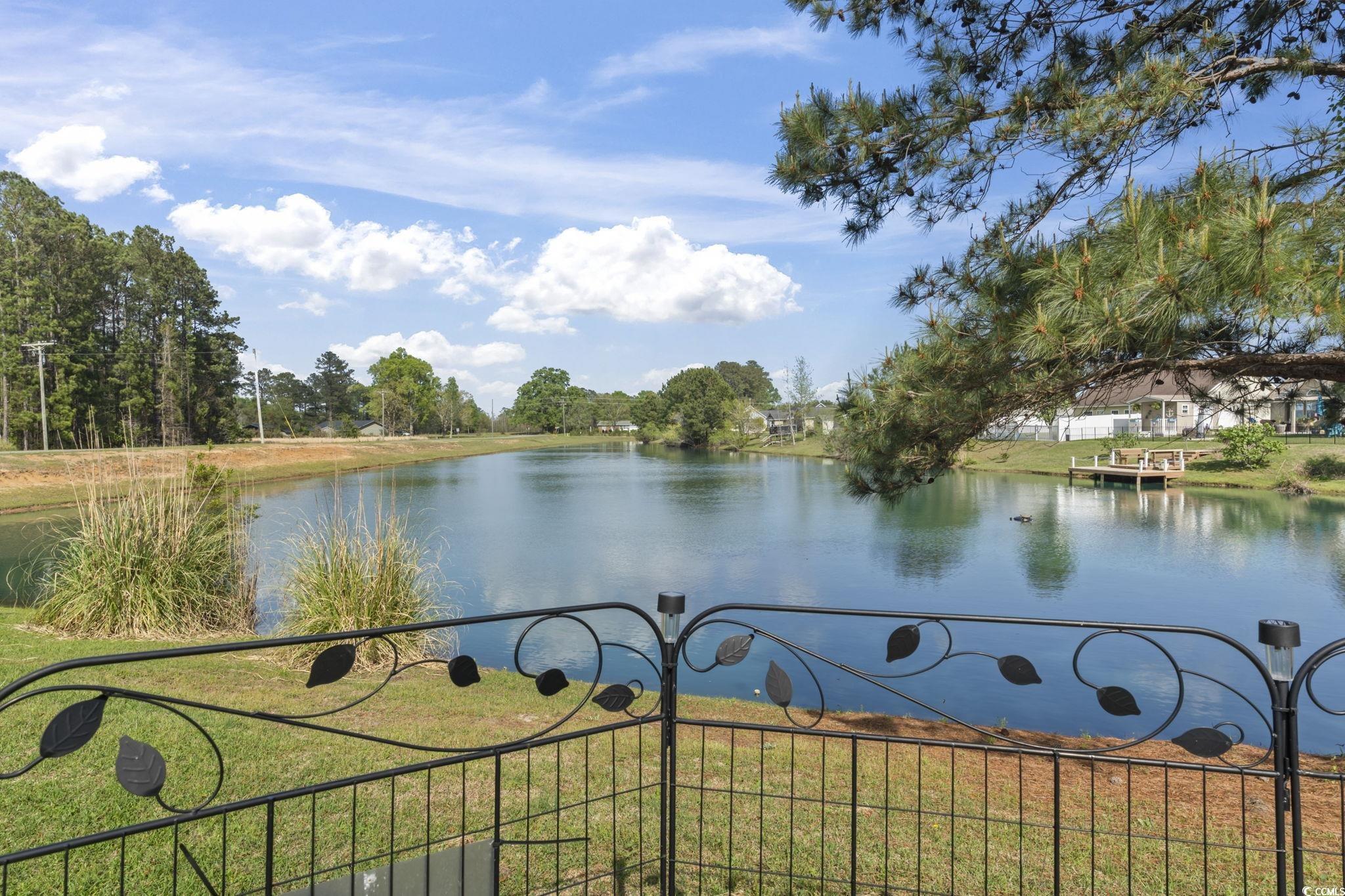 105 Windsor Springs Road Conway, SC 29527 - Photo 23 of 35 View of water feature