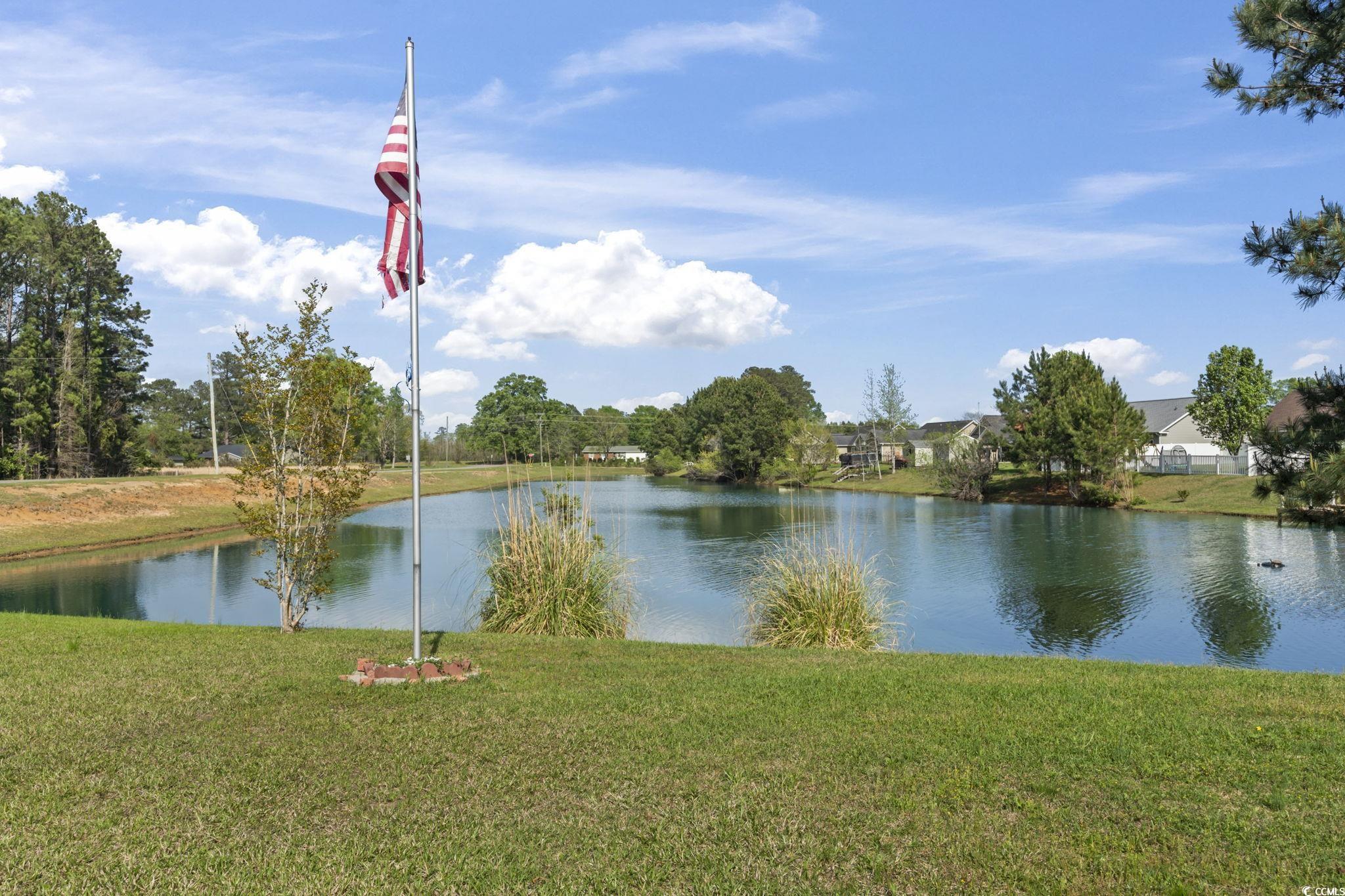 105 Windsor Springs Road Conway, SC 29527 - Photo 28 of 35 View of water feature