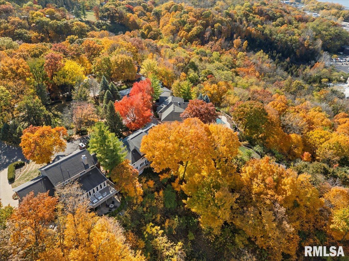 136 Star Rim Drive East Peoria, IL 61611 - Photo 60 of 70