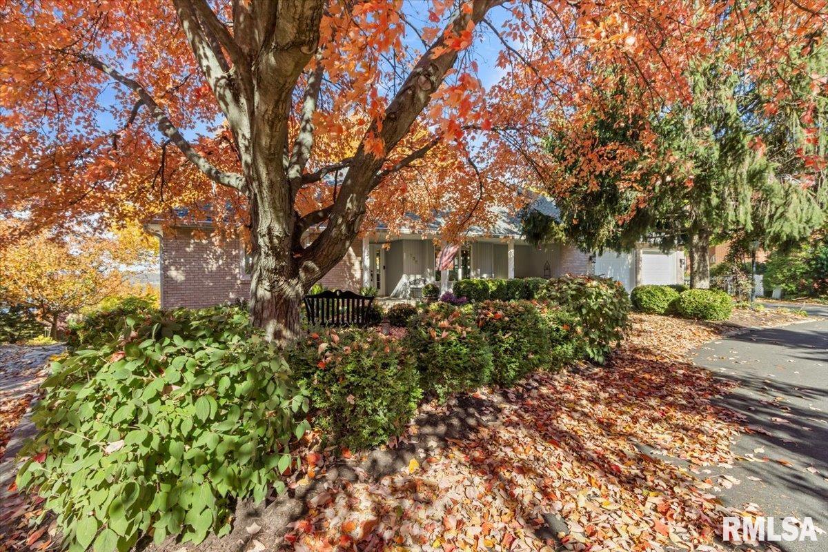 136 Star Rim Drive East Peoria, IL 61611 - Photo 6 of 70