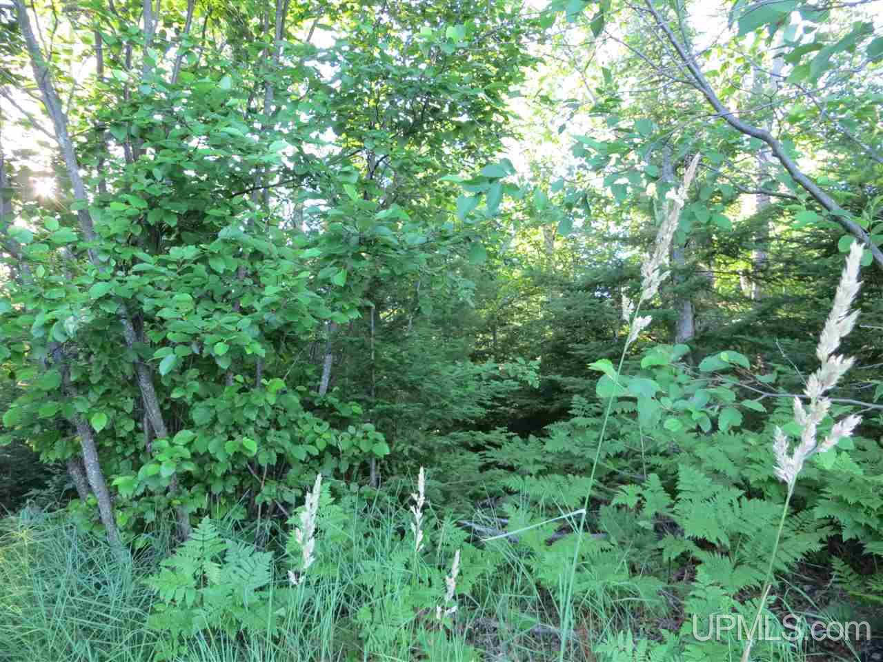 Tbd Marzal Road Lanse, MI 49946 - Photo 19 of 22 Gallery Image 19