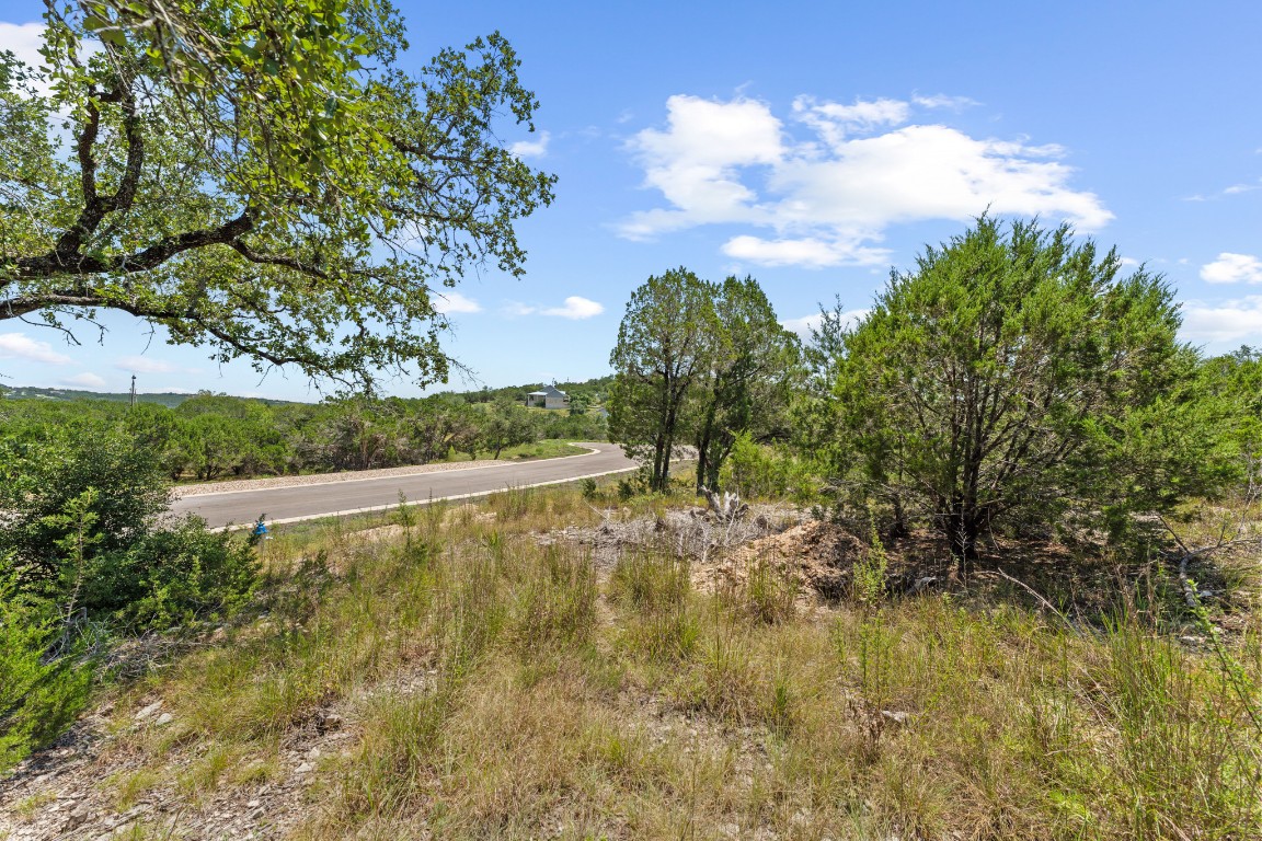 7 B Broadwing Cove Austin, TX 78737 - Photo 10 of 14 a view of a yard