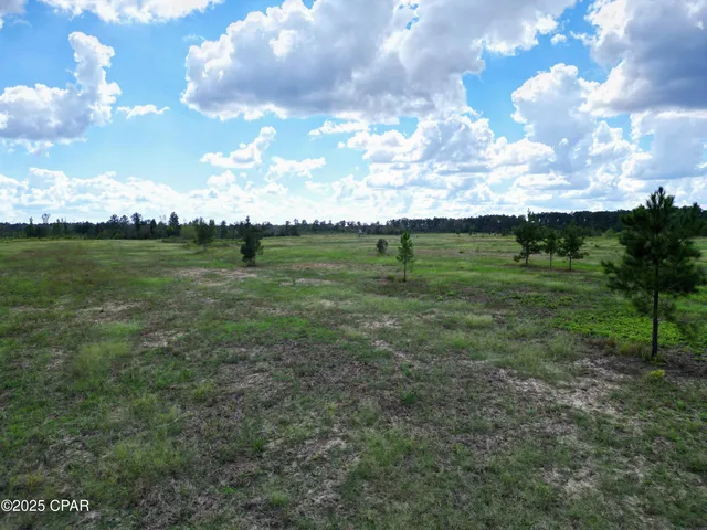 $559,000 | 0 River Road, Sneads, FL 32460