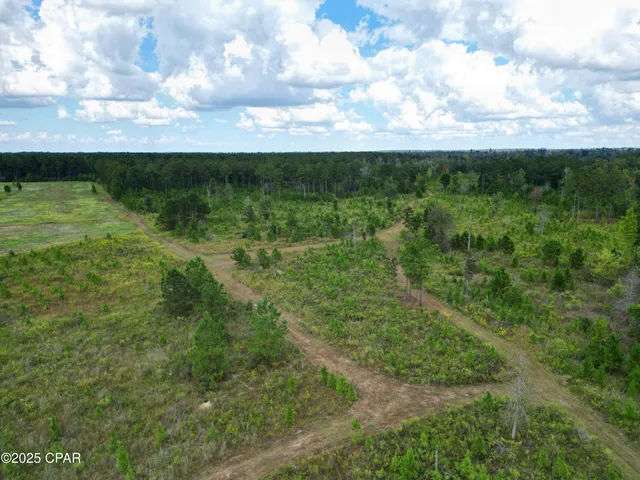 $559,000 | 0 River Road, Sneads, FL 32460