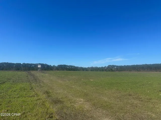 $559,000 | 0 River Road, Sneads, FL 32460