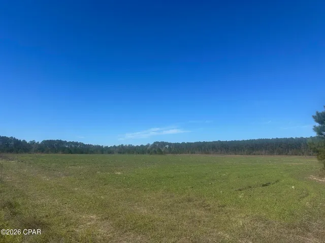 $559,000 | 0 River Road, Sneads, FL 32460