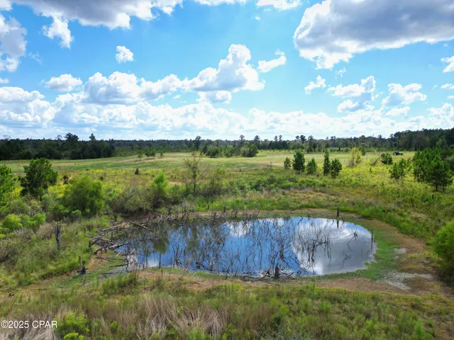 $559,000 | 0 River Road, Sneads, FL 32460