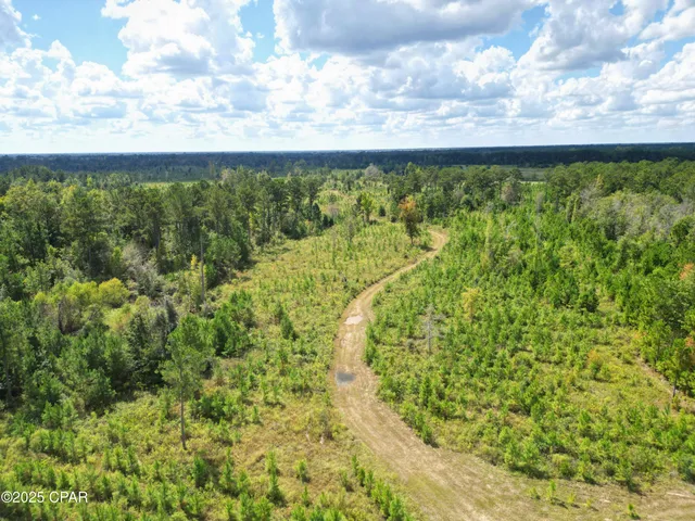 $559,000 | 0 River Road, Sneads, FL 32460