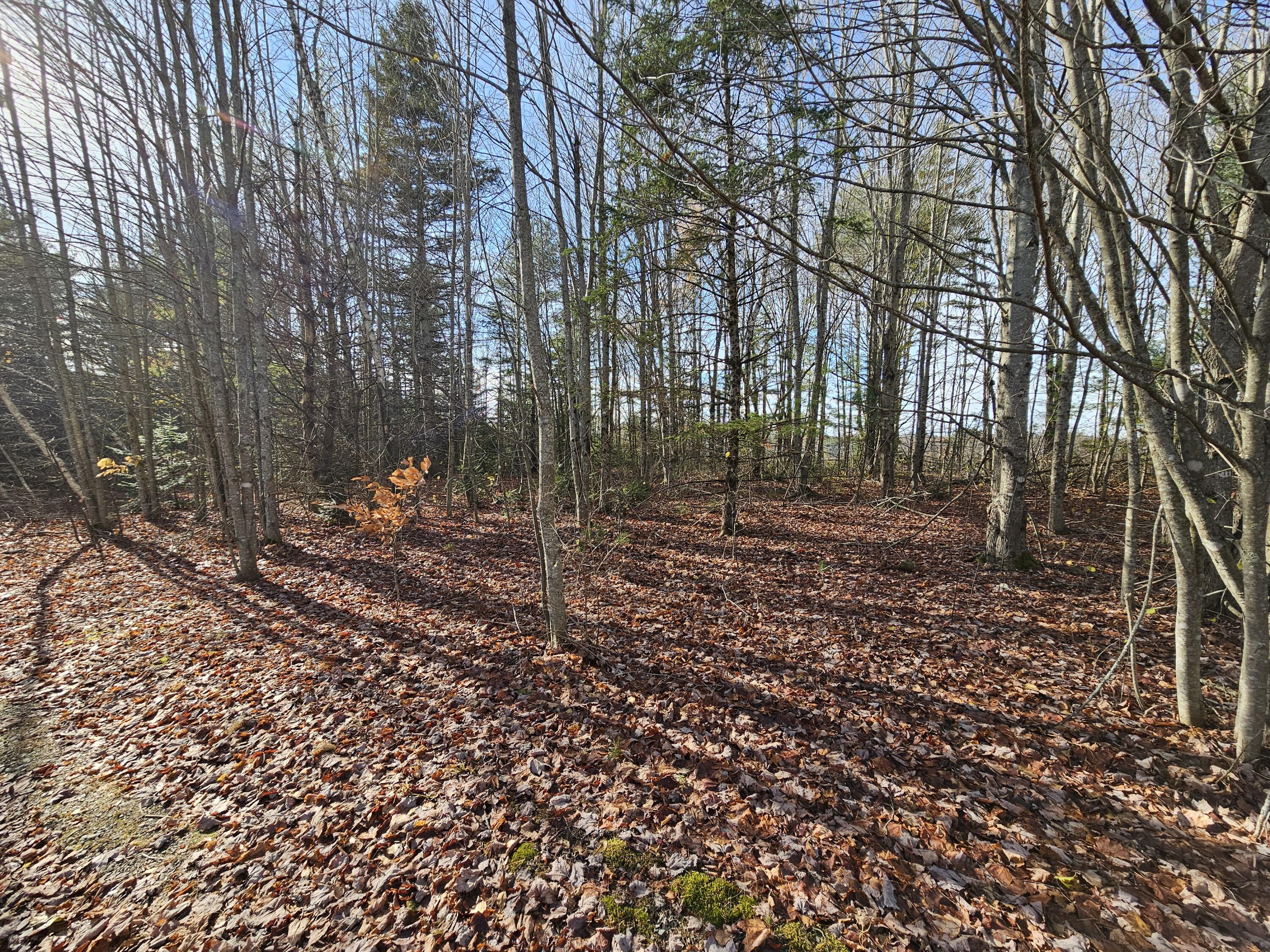 1 Main Street Palmyra, ME 04965 - Photo 6 of 25