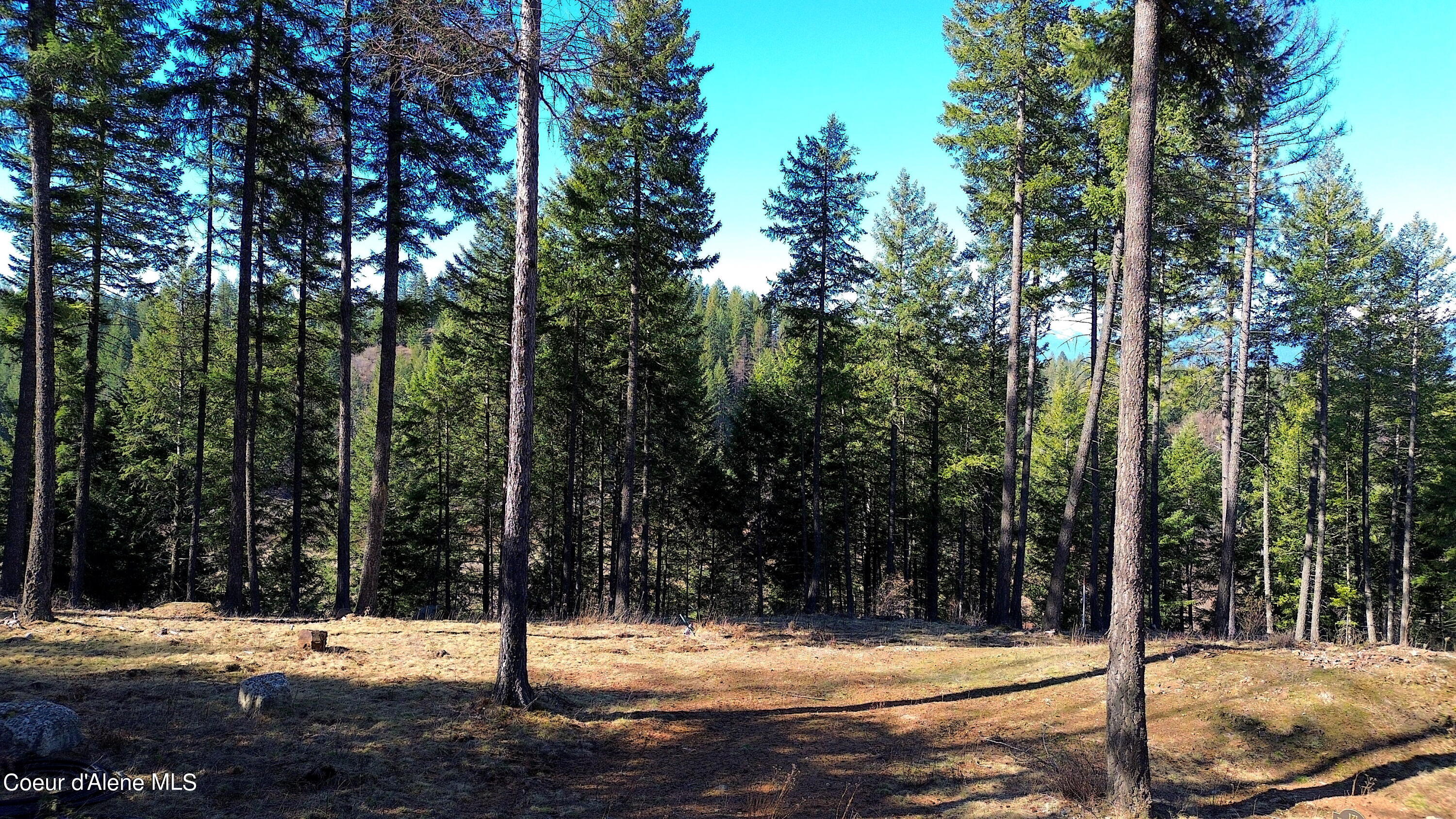 Wildflower Way Sandpoint, ID 83864 - Photo 22 of 42 9 copy
