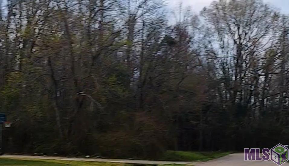 Lot 81 Dianna Drive Baton Rouge, LA 70811 - Photo 1 of 1