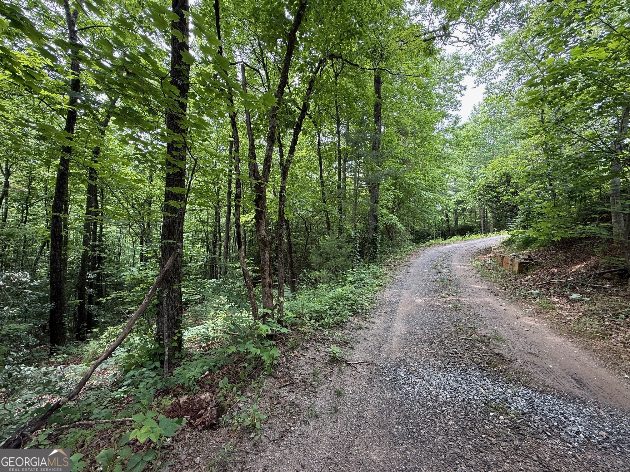 0 Mr Bert Road Hiawassee, GA 30546 - Photo 1 of 22