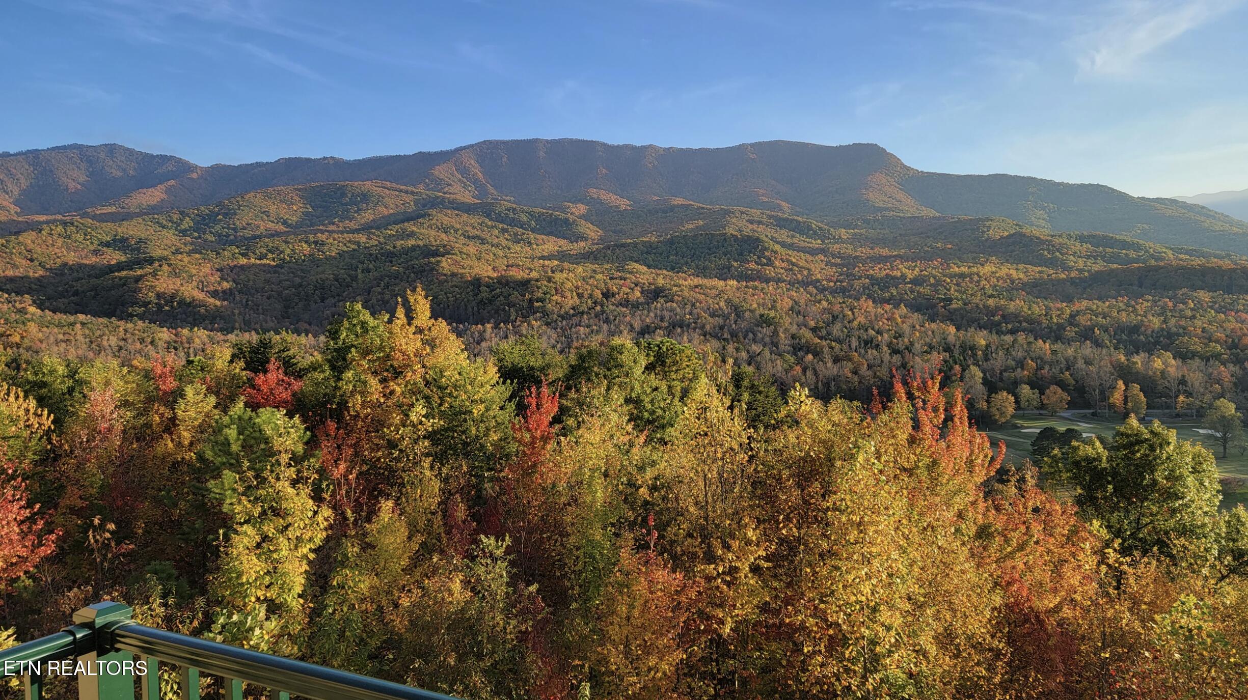 3710 Weber Road, Unit C203 Gatlinburg, TN 37738 - Photo 9 of 36 Fall Mtn View
