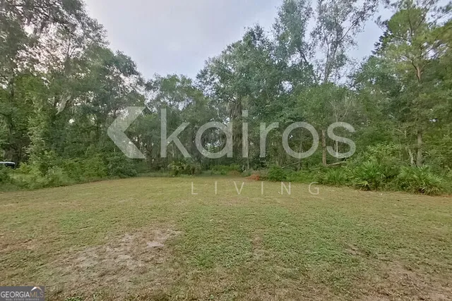a couple of some plants sitting in the middle of a yard
