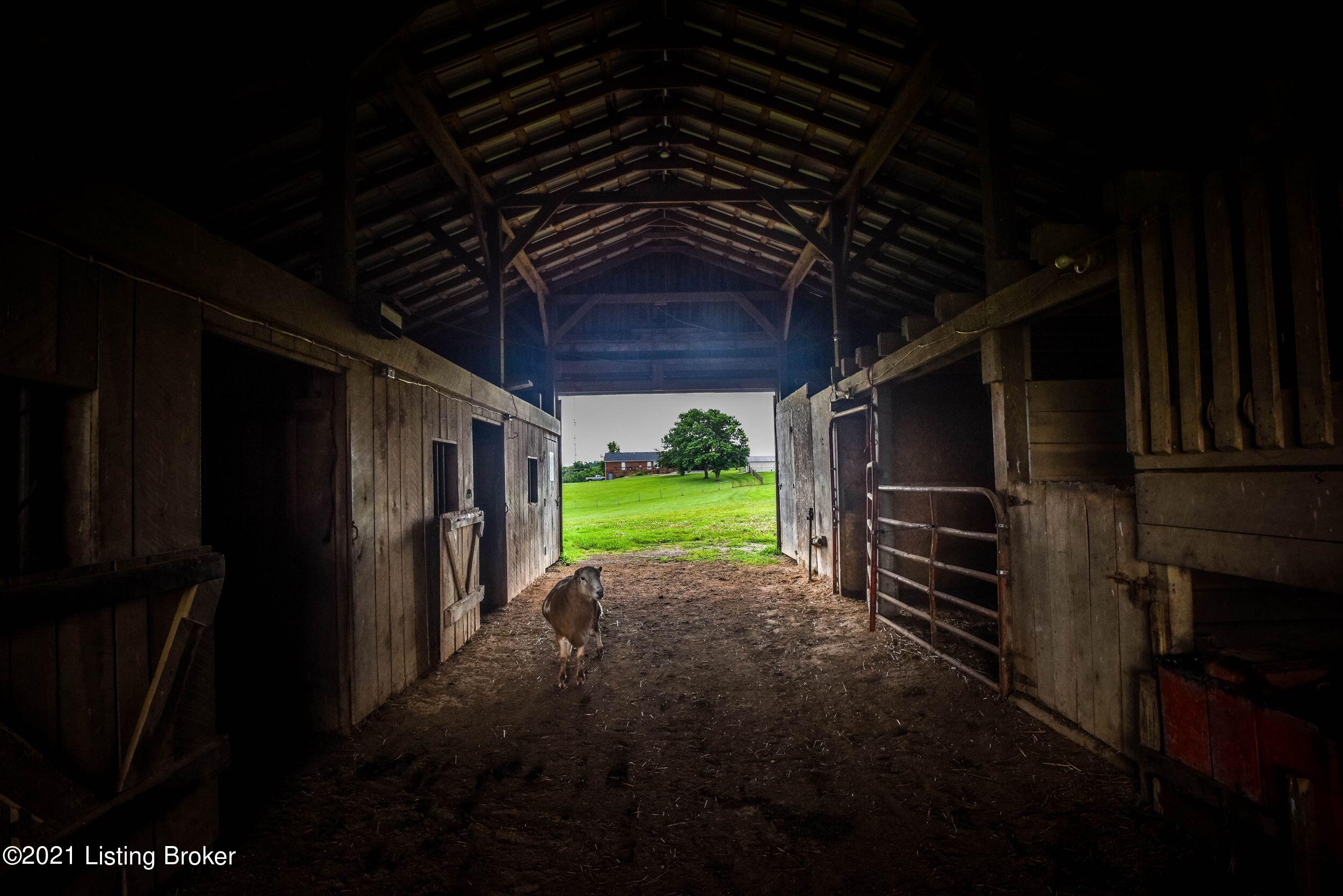 4740 Bloomfield Road Bardstown, KY 40004 - Photo 65 of 76 MAlflj5Q