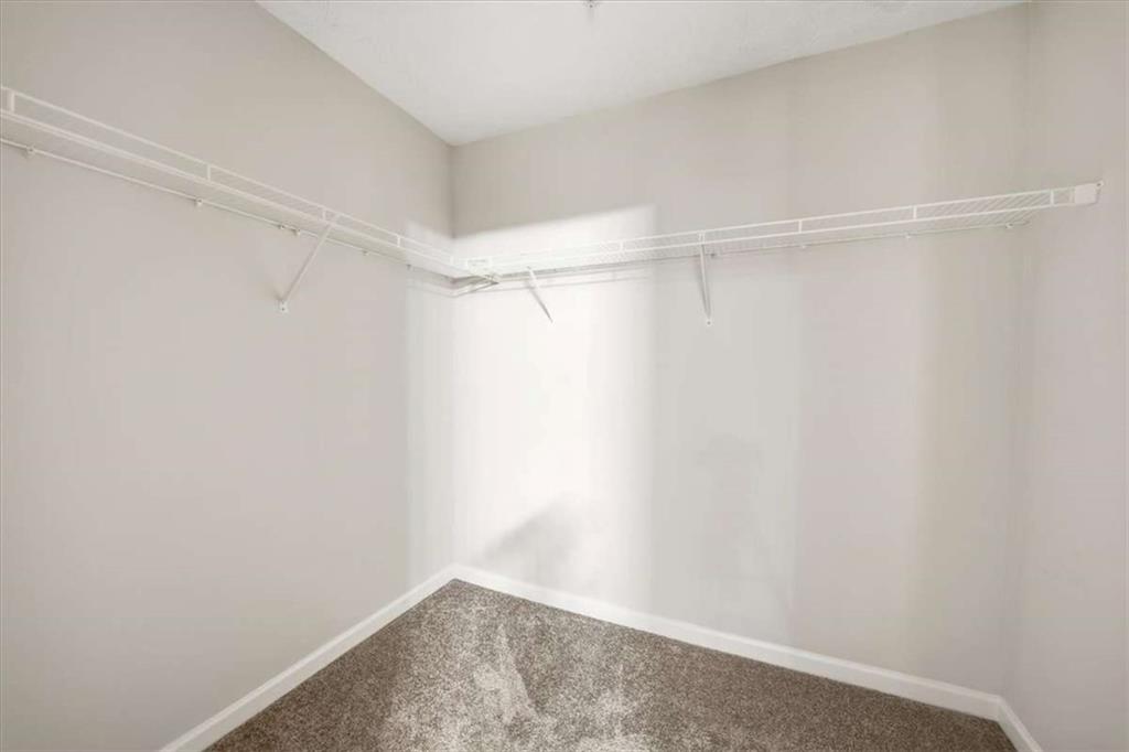 3834 Augustine Place Rex, GA 30273 - Photo 28 of 41 a view of an empty walk in closet