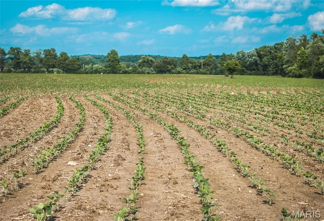 $60,000 | 0 Shawneetown Ford Road, Union, MO 63084