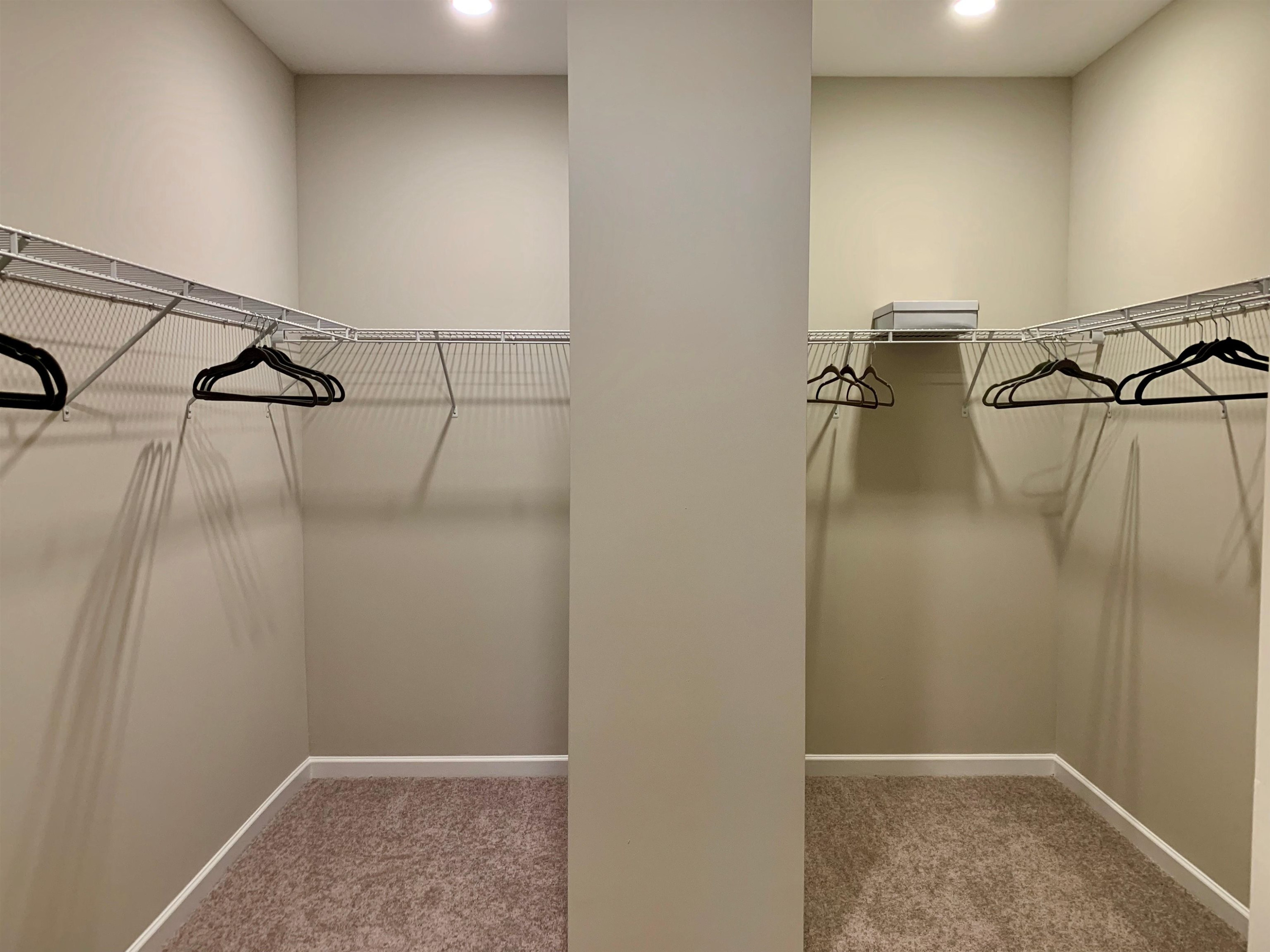 3901 Bluffwind Drive, Unit 129 Raleigh, NC 27603 - Photo 15 of 22 Primary Closet