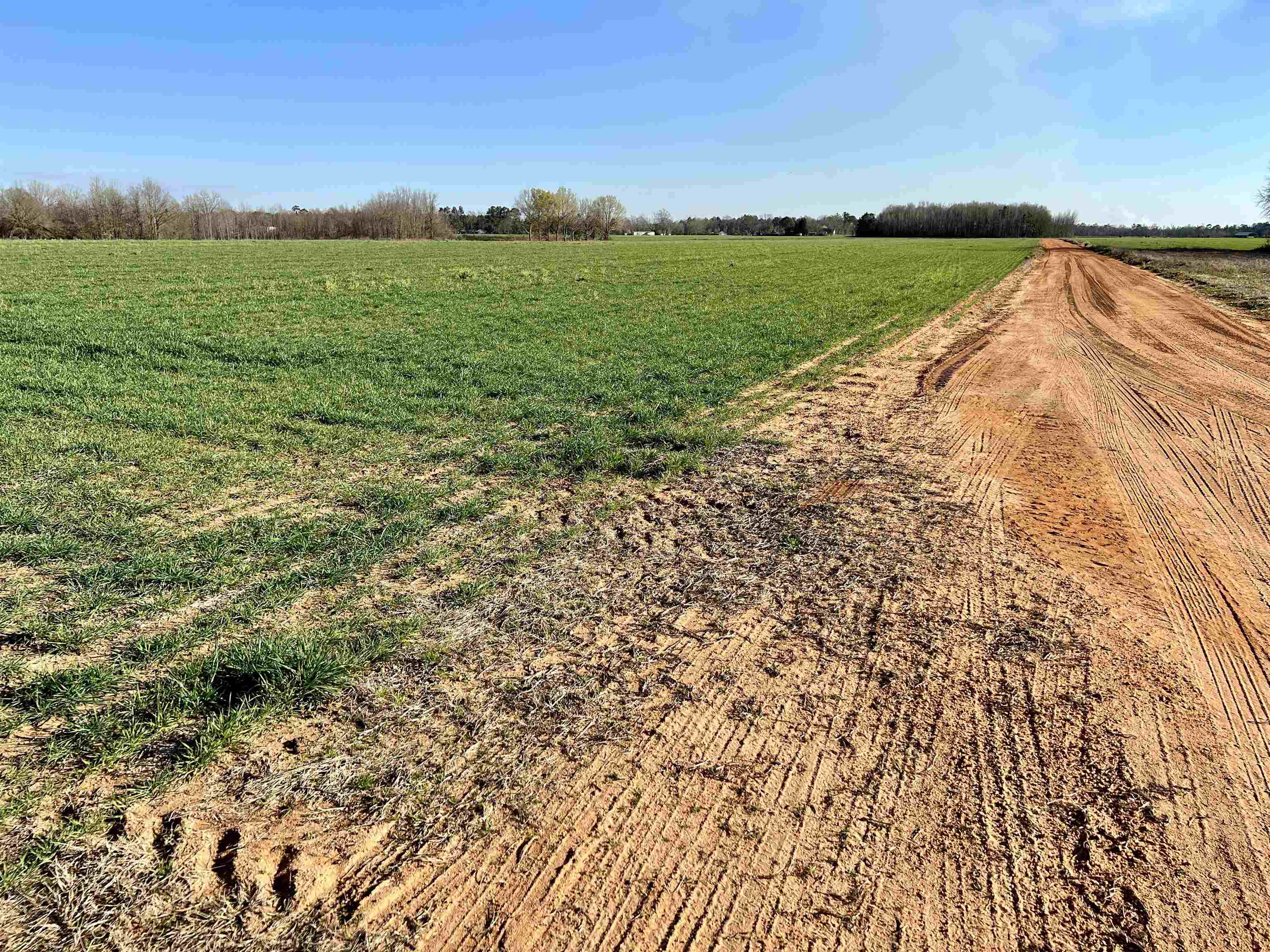 0 Country Road Atmore, AL 36502 - Photo 6 of 27