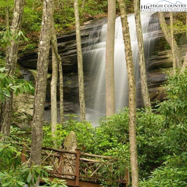 Heritage Ridge Road, Unit H12 Elk Park, NC 28622 - Photo 26 of 29 a close up of a plant of a building