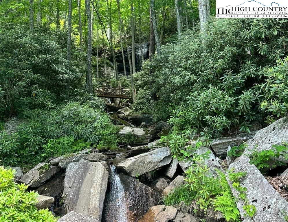 Heritage Ridge Road, Unit H12 Elk Park, NC 28622 - Photo 28 of 29 a view of a garden with plants