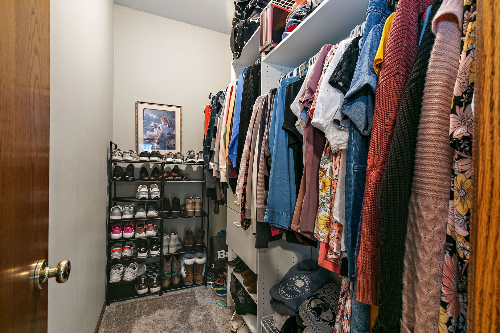 201 West Hardanger Gate Lee, IL 60530 - Photo 13 of 37 a view of walk in closet with clothes and shoes