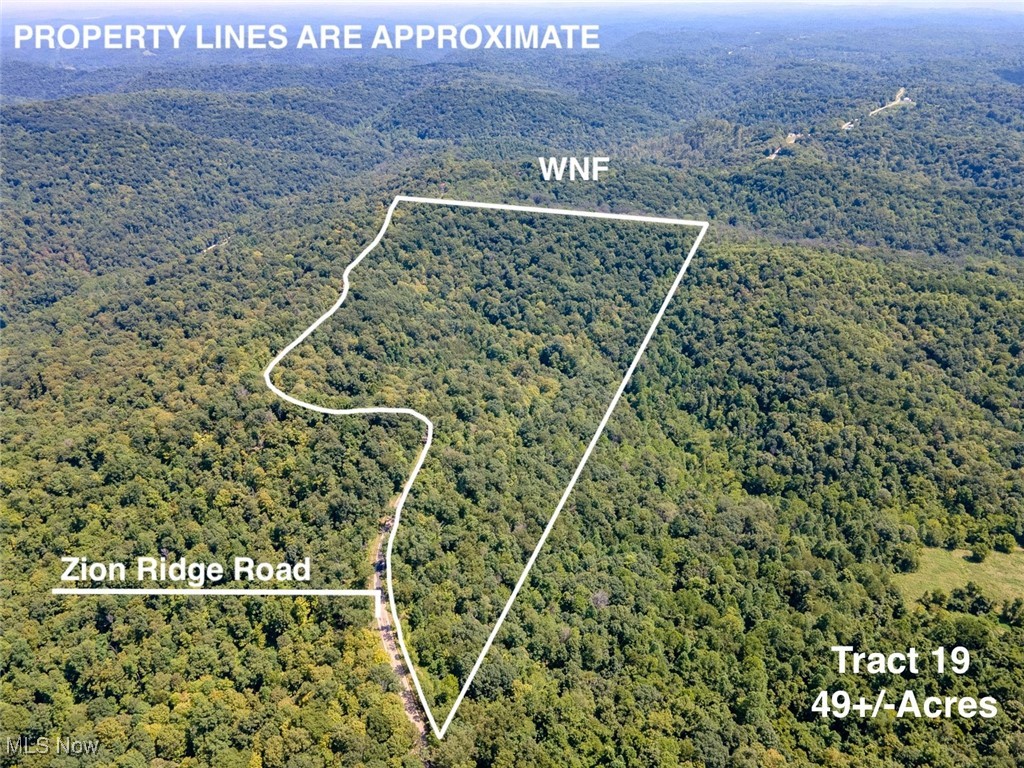 Bird's eye view of a heavily wooded area