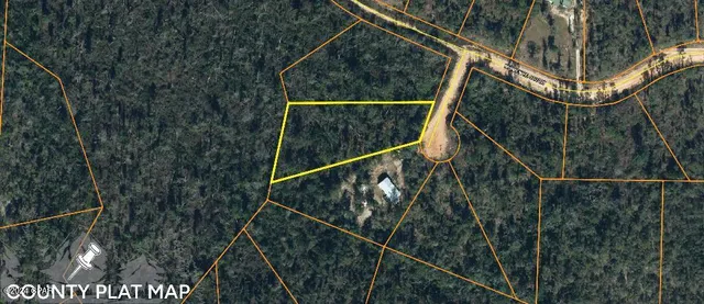 $9,900 | 0 Momence Court, Alford, FL 32420