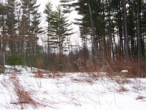 306 Whitehall Road Hooksett, NH 03106 - Photo 4 of 8