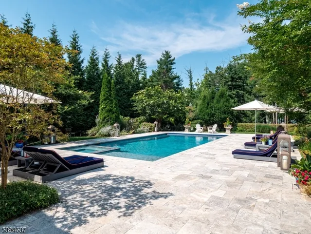 a view of swimming pool with lounge chair under an umbrella